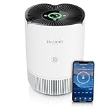 Brandson - Luftreiniger Allergiker - CADR 158 m³/h 45 m² - Air Purifier - Preisträger 2024 - Smart Home mit App - 4 Filterstufen HEPA Aktivkohle – Tierhaare Pollen Staub Schimmel Viren Raucherzimmer