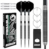 RED DRAGON Pegasus 24 Gramm-Professionelles Tungsten-Steeltip-Dart-Set mit Flights, Schäften (Shafts) und Brieftasche